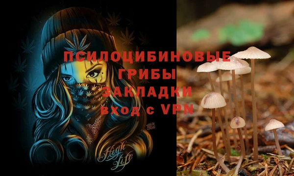 кокаин колумбия Алексин