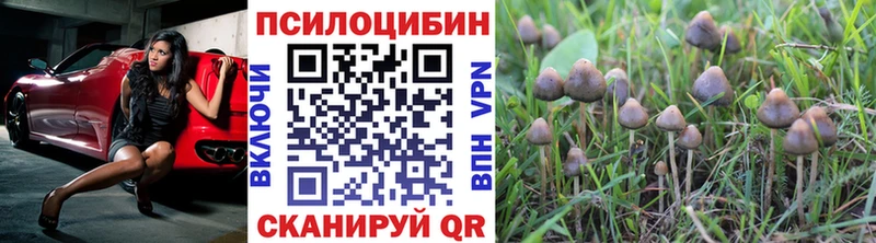 Псилоцибиновые грибы Psilocybine cubensis  mega как войти  Жирновск 