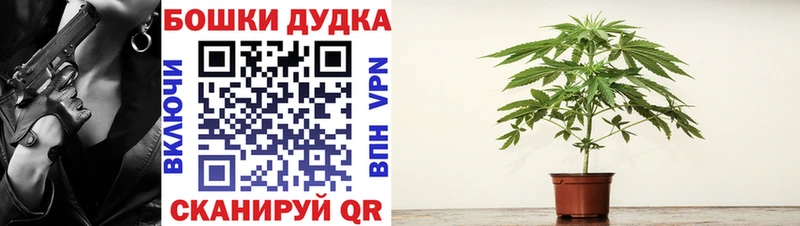Канабис SATIVA & INDICA  цена наркотик  Жирновск 